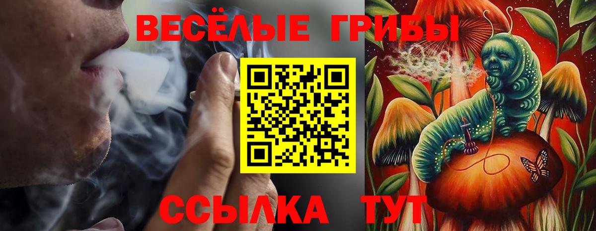 закладки  Вход с VPN  Екатеринбург  Псилоцибиновые грибы Cubensis 